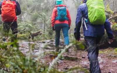 Hiking in the Rain